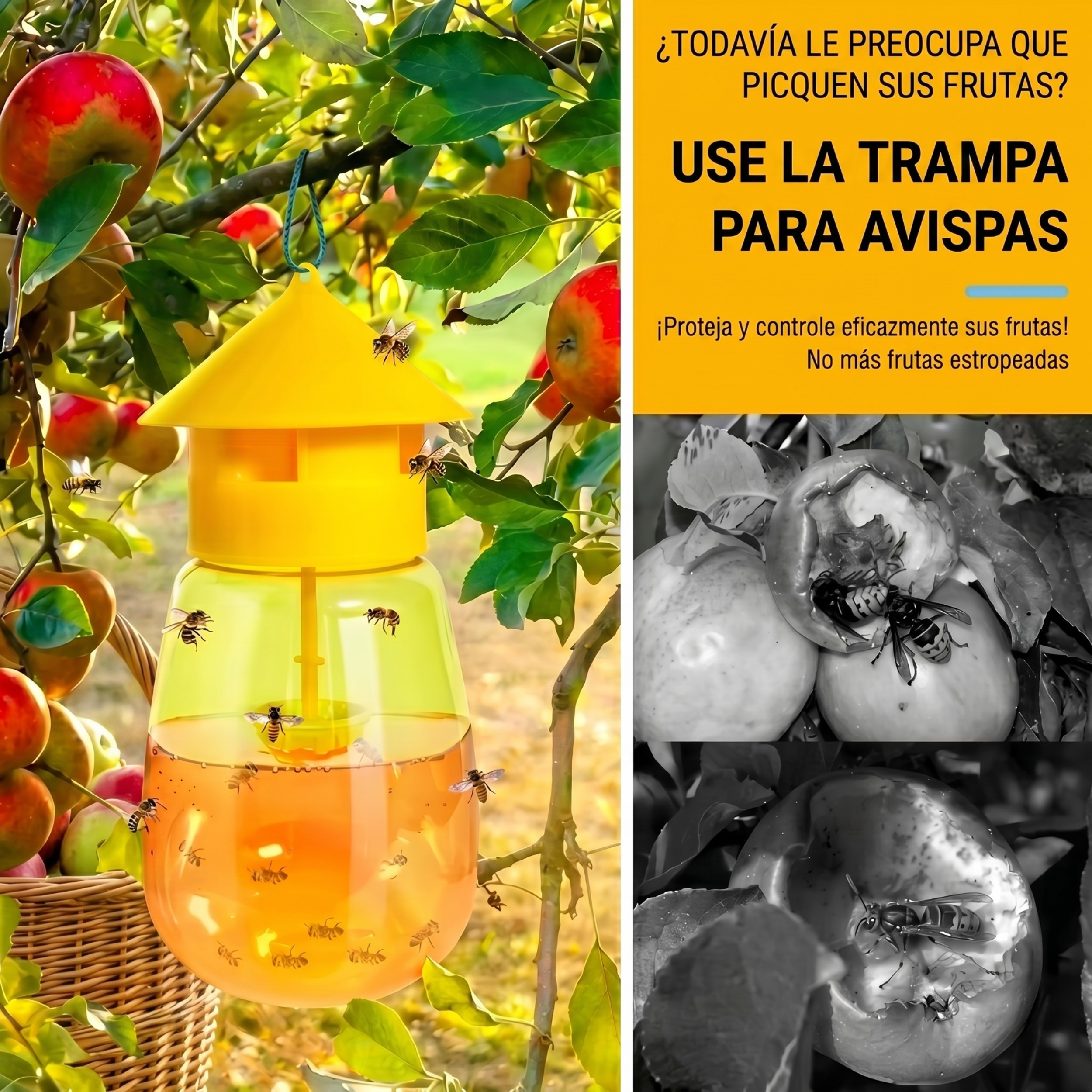Trampa para moscas de la fruta Kyzau™