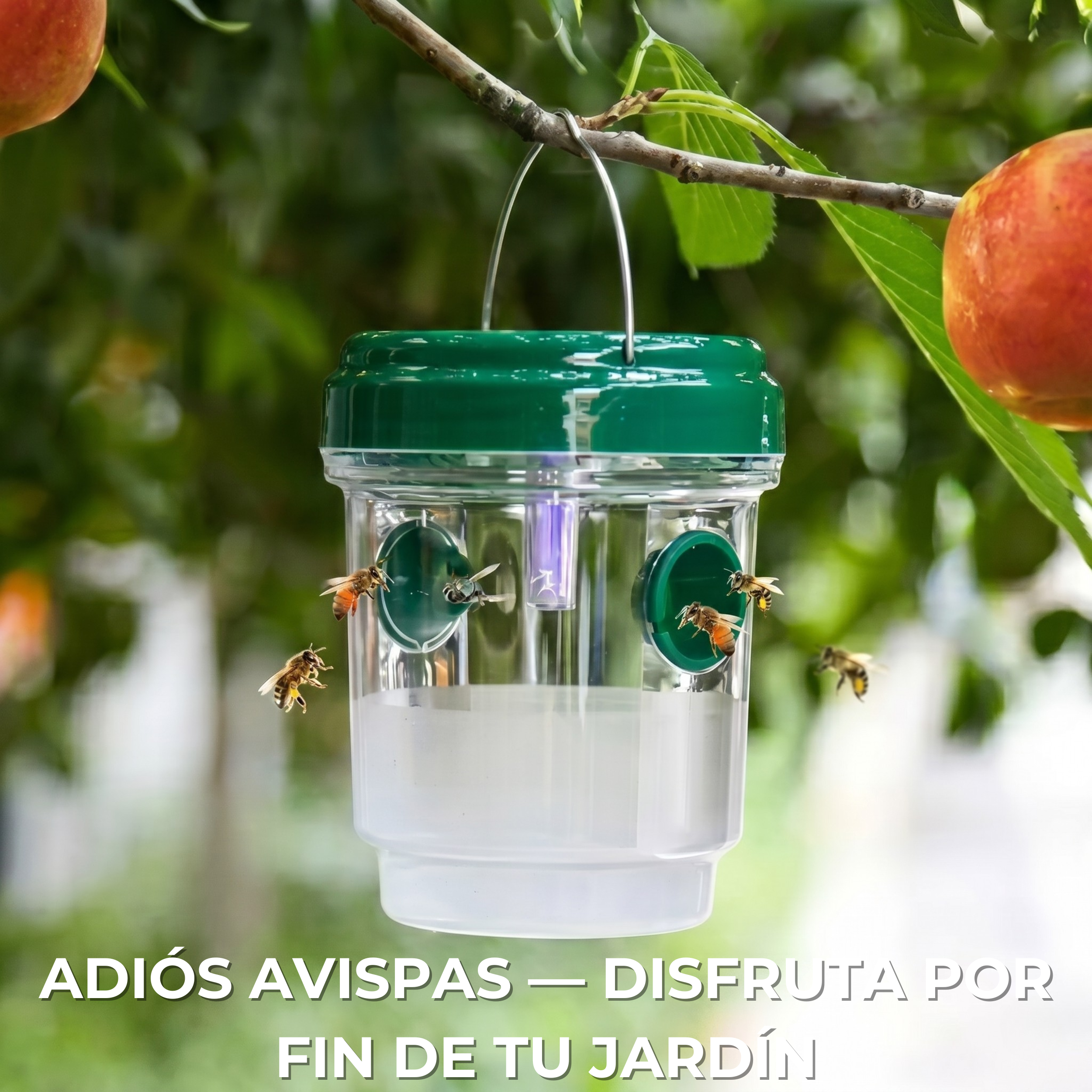 Kyzau Trampa Avispas™ — Trampa Reutilizable Anti-Avispas y Avispones
